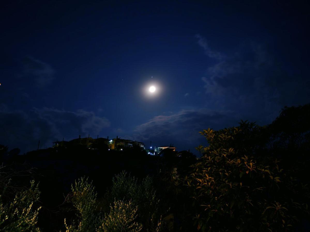 尼基季Casa Di Grigoris别墅 外观 照片